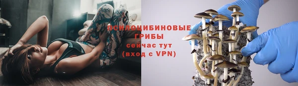 хмурый Балахна